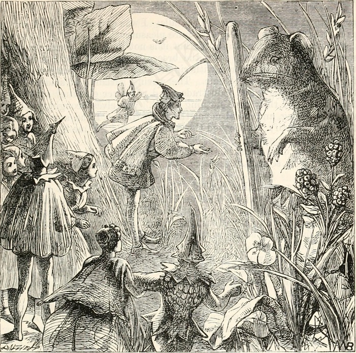 图片来自“家庭故事”（1889年）第208页