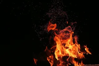 火焰特效,篝火,熊熊大火,熔浆,花卉,跳舞的火焰