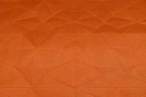 双盲鸟底瓦楞纸折痕（纸上折痕）