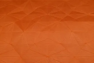 双盲鸟底瓦楞纸折痕（纸上折痕）