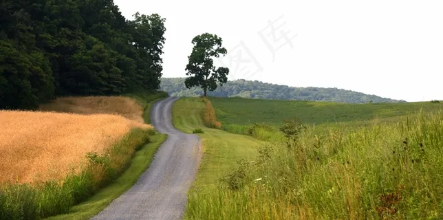 带我回家 带我回家