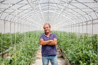 大棚,塑料大棚,紫露草属,男孩,美女,西瓜的男人6