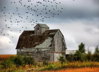 建筑,民居,草原,历史遗迹,风景,农用建筑