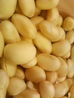 食物,梨子,黄豆,马铃薯,白果仁,黄豆