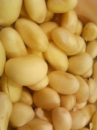 食物,梨子,黄豆,马铃薯,白果仁,黄豆