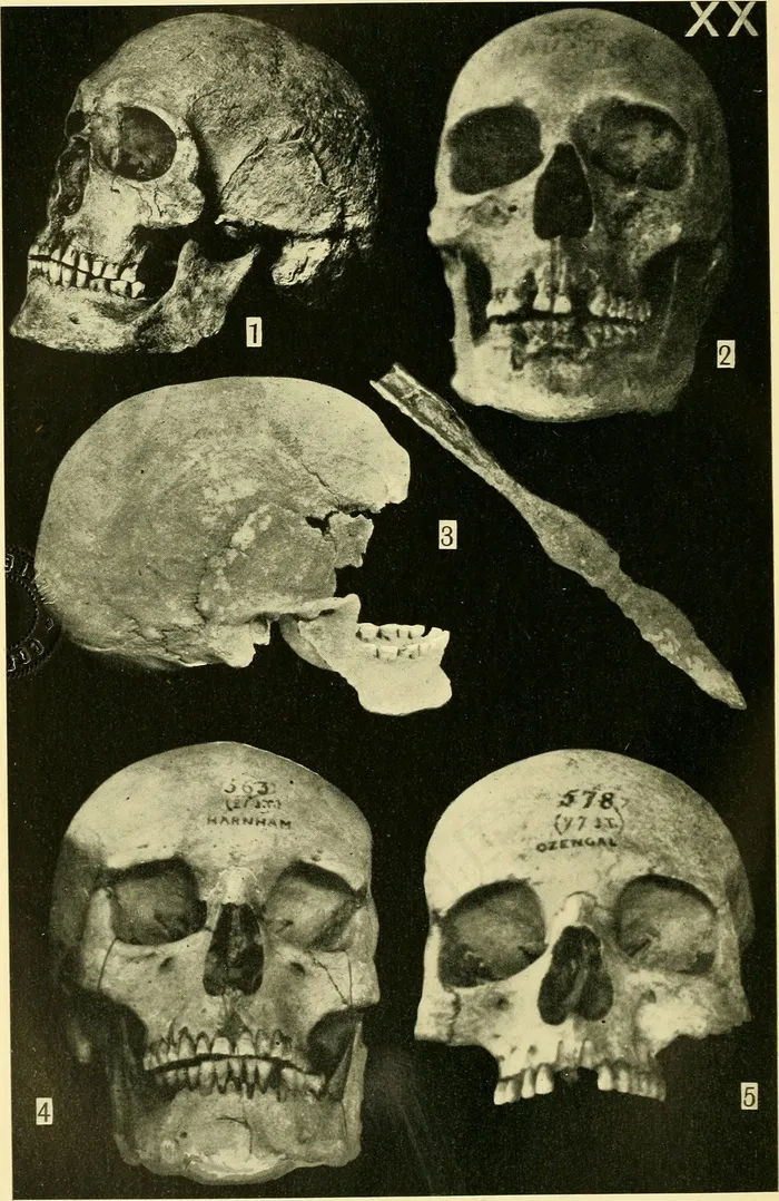 图片来自“早期英格兰的艺术”（1903年）第269页