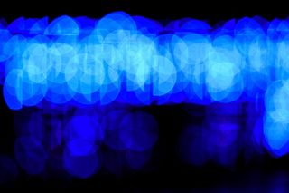 花卉,自贡灯会,洞穴溶洞,灯,管水母目动物,免费使用纹理/背景