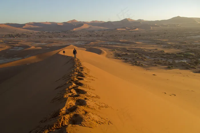 沙漠,驼队,戈壁,天空,树,纳米比亚沙丘