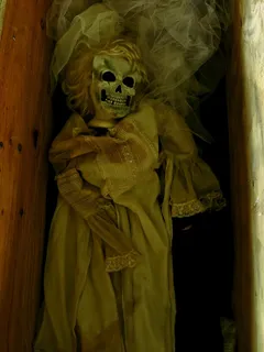 IMG_0134 IMG_0134