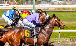 军人/警察,马术,单座二轮马车,赛马,跑马场,赛马和赛马