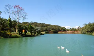 湖泊,自然公园,江河,海洋,桃红柳绿,Inhotim