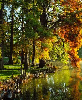 辛辛那提-斯普林格罗夫公墓和树木园“柏树针和火炬” 辛辛那提-斯普林格罗夫公墓和树木园“柏树针和火炬”