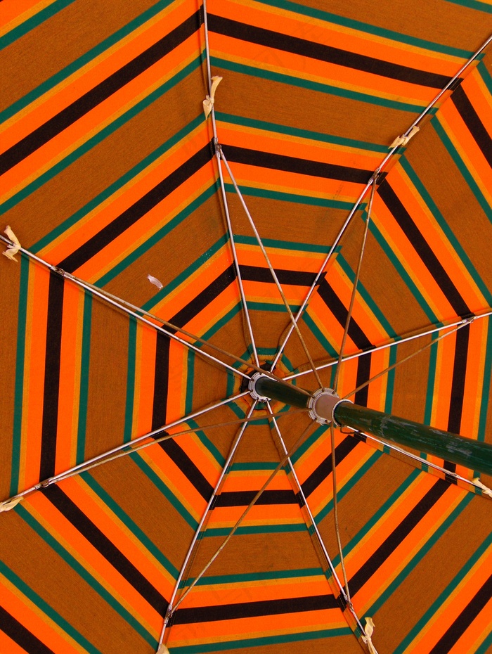 雨伞,书本,地板砖,图画,玩具,雨伞