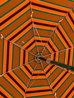 雨伞,书本,地板砖,图画,玩具,雨伞