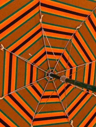 雨伞,书本,地板砖,图画,玩具,雨伞