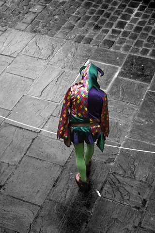 玩具,一只孔雀,鸟类,虹雉,蓝孔雀,之一