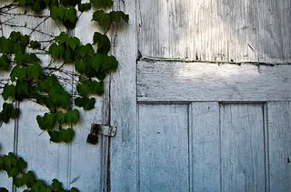 门,巷道,锁,栅栏,盆栽植物,常春藤