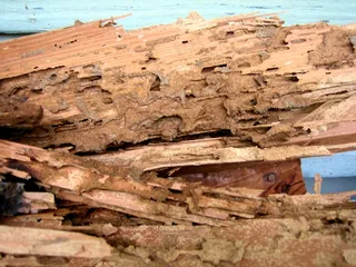 历史遗迹,自然/人文景观,峡谷,自然风景,山峦,木