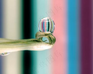 屏幕截图,戒指,卡通动漫人物,芹菜,新芽,宏水