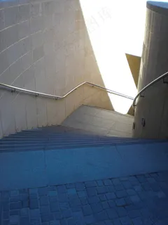 血统 血统