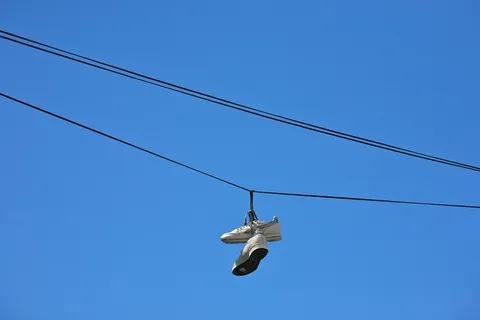 毒品贩子住在这里