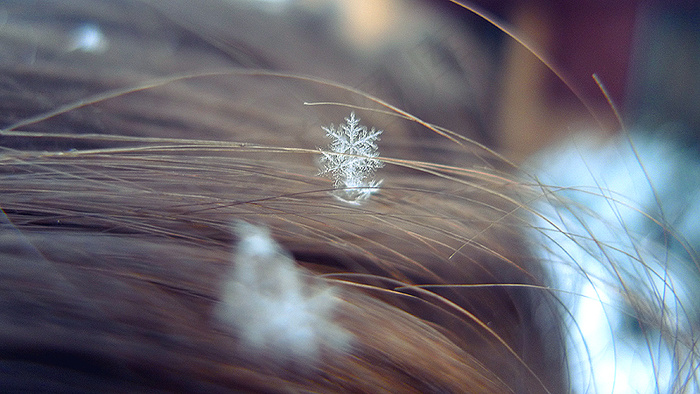 雪花
