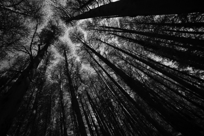 FLIKR_0557