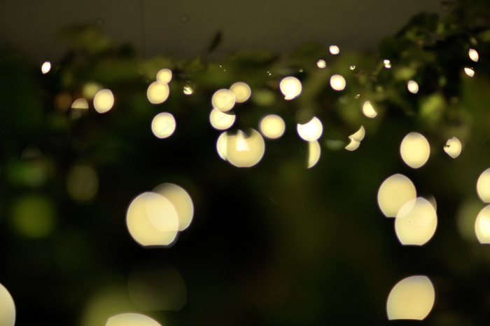 吸顶灯,花卉,珍珠梅,灯,生日蜡烛,常春藤