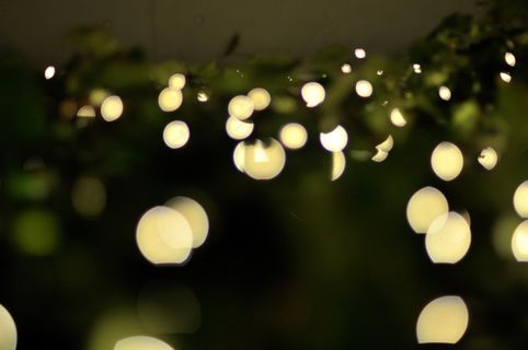 吸顶灯,花卉,珍珠梅,灯,生日蜡烛,常春藤