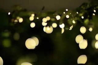 吸顶灯,花卉,珍珠梅,灯,生日蜡烛,常春藤