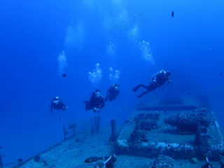 12-27-13-瓦胡岛潜水