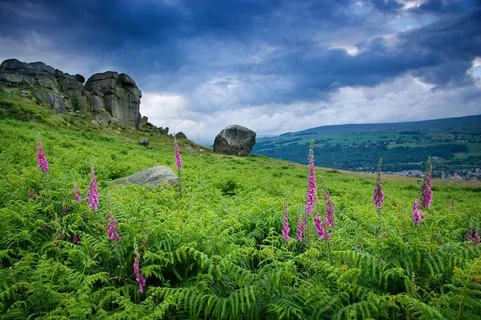 伊尔克里狐狸手套