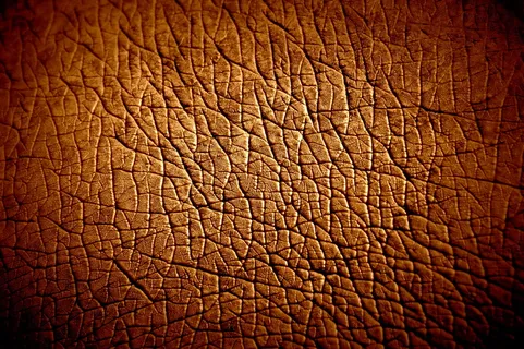 沙漠,人造皮革,龟裂的大地,花纹纸,材质贴图,河马皮肤纹理
