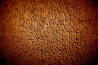 沙漠,人造皮革,龟裂的大地,花纹纸,材质贴图,河马皮肤纹理