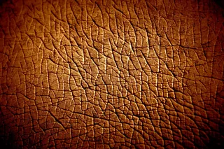 沙漠,人造皮革,龟裂的大地,花纹纸,材质贴图,河马皮肤纹理