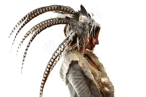 恐龙骨格,锦鸡,长尾雉,绘画,苍鹰,白色