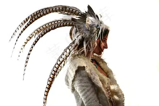 恐龙骨格,锦鸡,长尾雉,绘画,苍鹰,白色