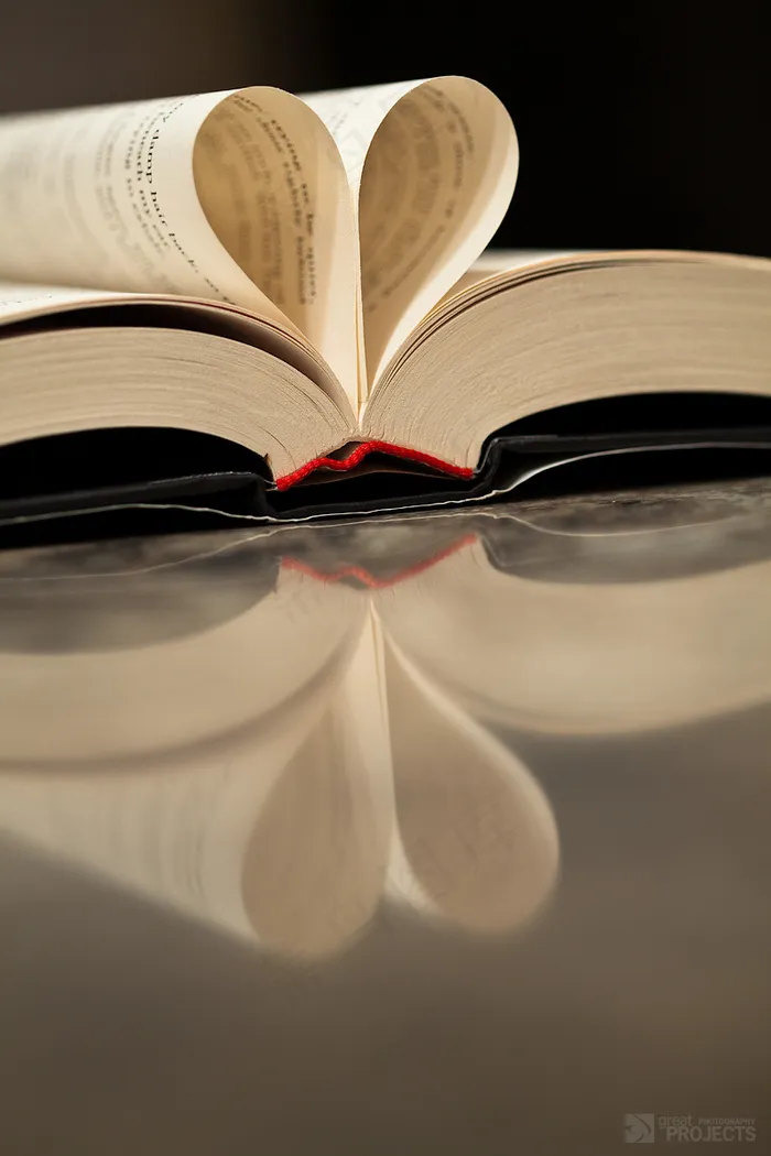 书籍,书本,盆栽植物,凉鞋,屏幕截图,爱情故事