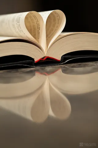 书籍,书本,盆栽植物,凉鞋,屏幕截图,爱情故事