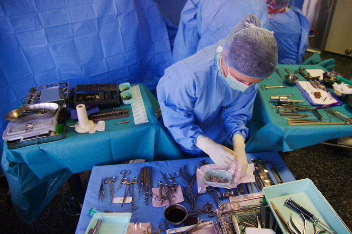 护工,医生,水产市场,人物特写,食品生产车间,Le Choix des Armes