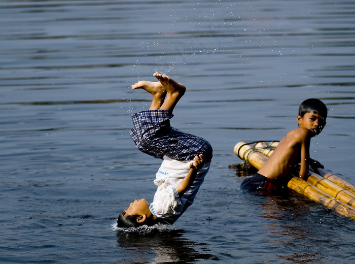 鸟类,男孩,凤头,工艺品,我想到天堂