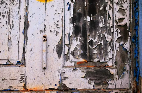 门,锁,白桦,柔性接头,栅栏,皮肤下