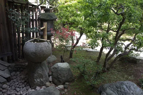 自然公园,亭楼,假山,园林景观,树,进ny堂 自然公园,亭楼,假山,园林景观,树,进ny堂