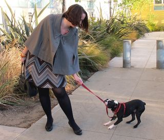 与洛基进行拔河比赛