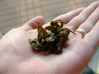 饮料/饮品,茶叶,铁观音茶叶,花椒芽,乌龙茶茶叶,乌龙茶009