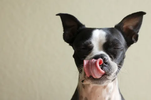 毛德享受她的零食2 毛德享受她的零食2