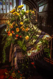 油画,花卉,自然公园,洞穴溶洞,安排 油画,花卉,自然公园,洞穴溶洞,安排