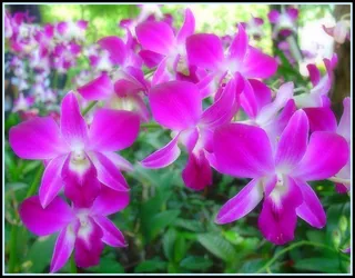 感谢上帝，我最亲爱的朋友！ ;-）：-）...