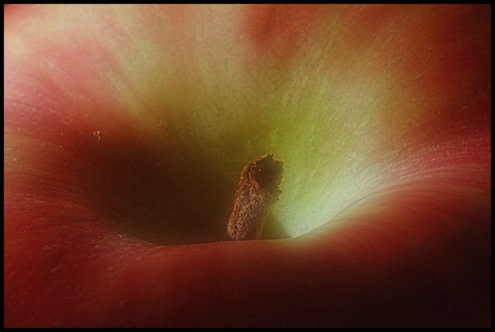 梅拉，皮乔洛，natura morta studio II