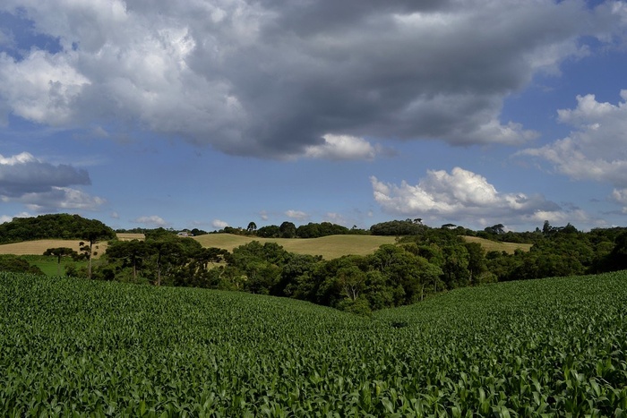 草原,茶地,龙脊梯田,山峦,天空,春天的天空